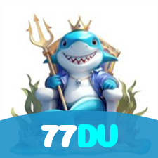 77DV visual