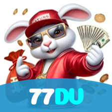 77DV visual