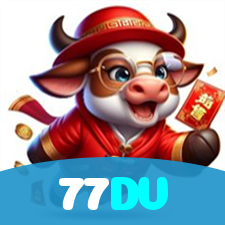 77DV visual