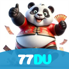 77DV visual