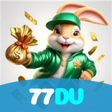 77DV visual