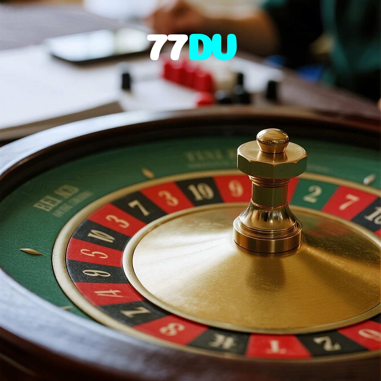 77DV visual
