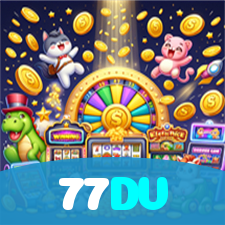 77DV visual