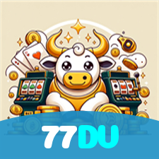77DV visual