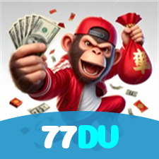 77DV visual