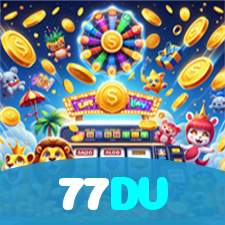 77DV visual