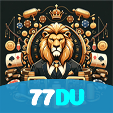 77DV visual