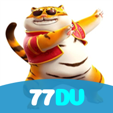 77DV visual
