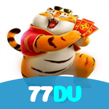 77DV visual