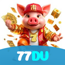 77DV visual