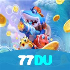 77DV visual