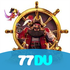 77DV visual