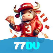 77DV visual