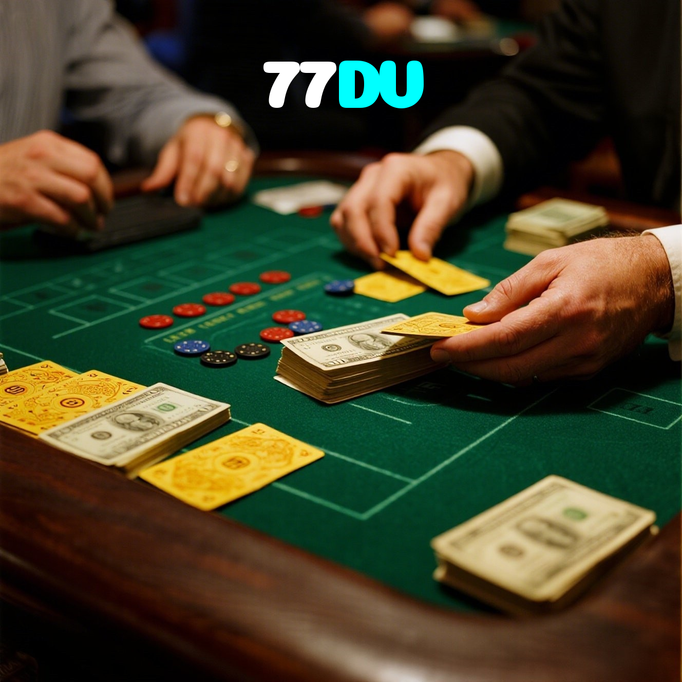 77DV visual