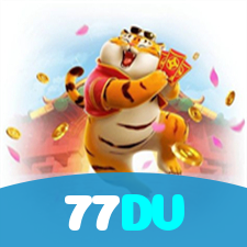 77DV visual