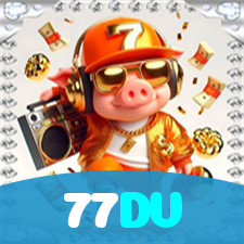 77DV visual
