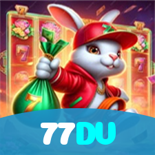 77DV visual