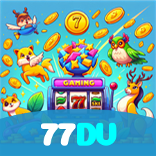 77DV visual