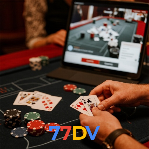 77DV visual
