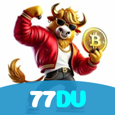 77DV visual