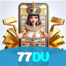 77DV visual