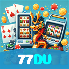 77DV visual