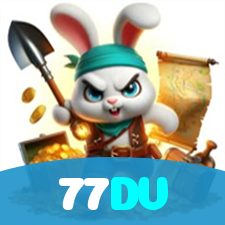 77DV visual