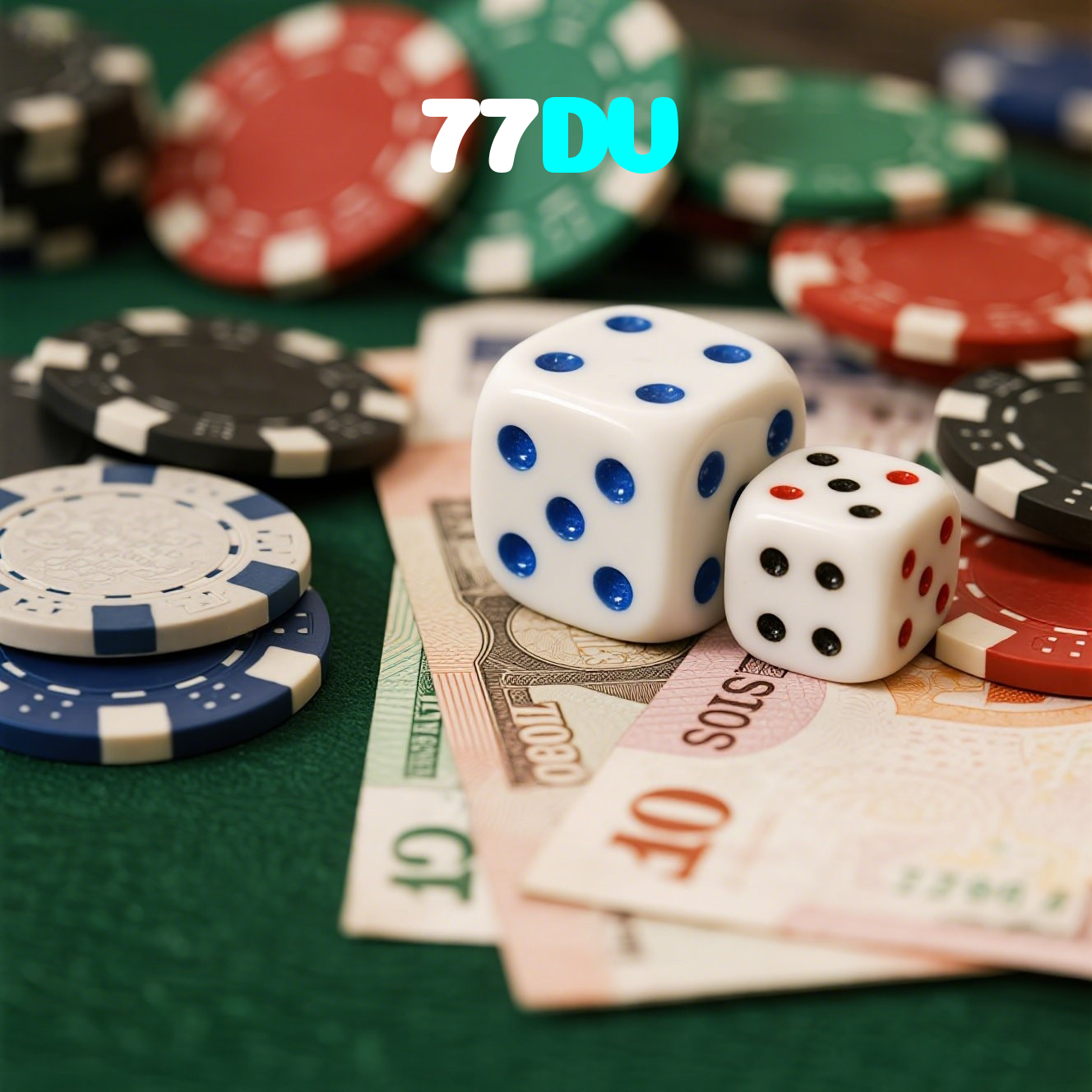 77DV visual