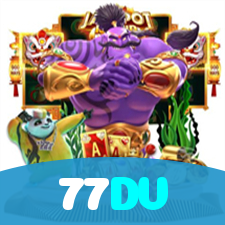 77DV visual