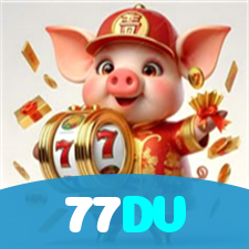 77DV visual