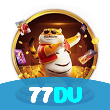 77DV visual