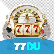 77DV visual