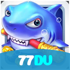 77DV visual