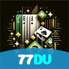 77DV visual