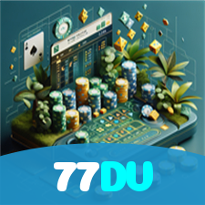 77DV visual