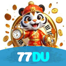 77DV visual
