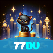 77DV visual