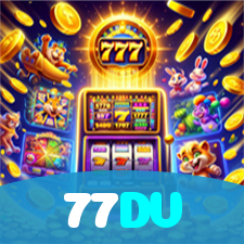 77DV visual