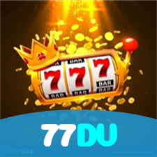 77DV visual
