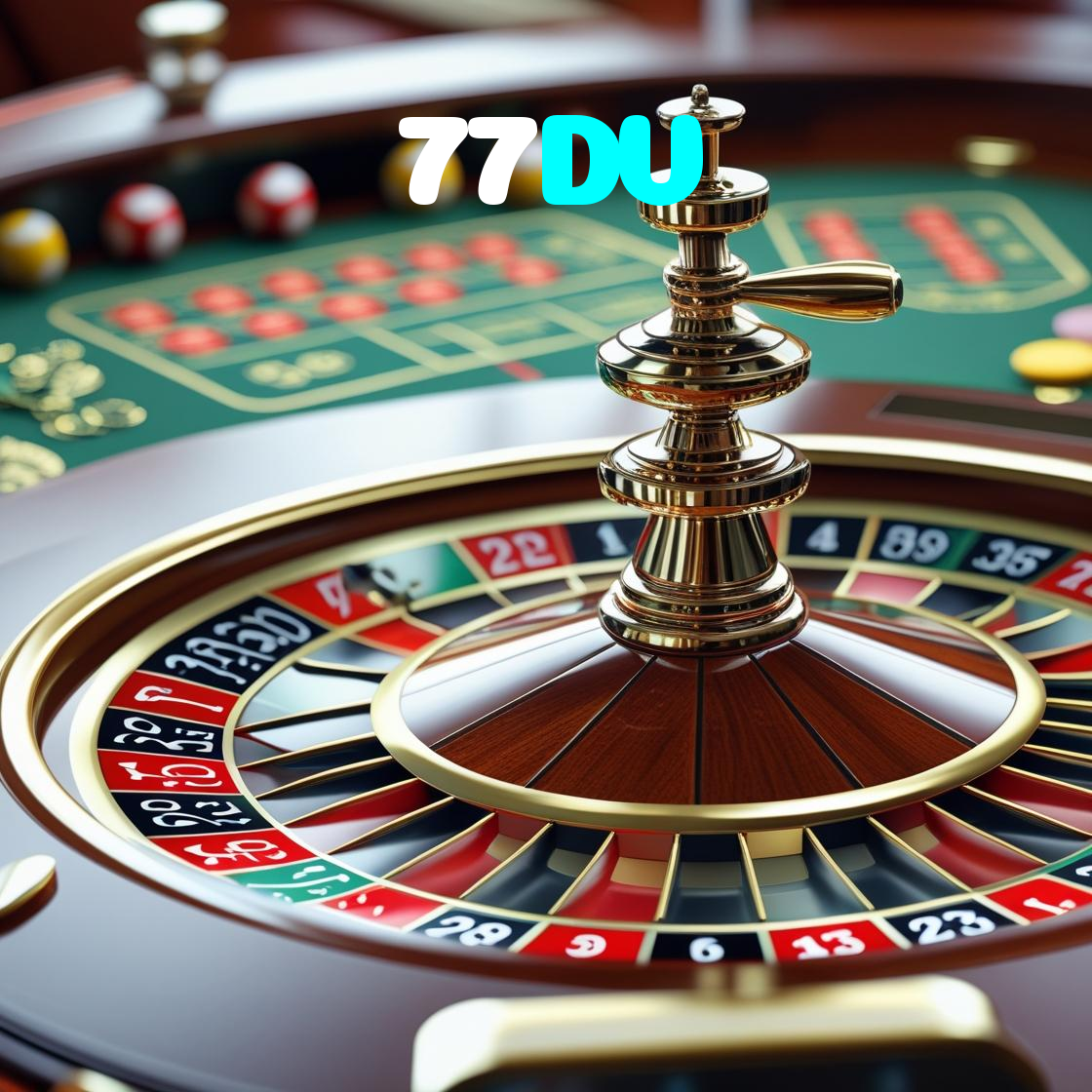 77DV visual