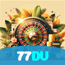 77DV visual