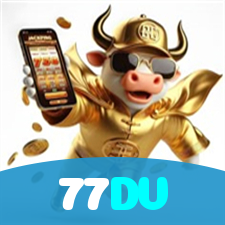 77DV visual