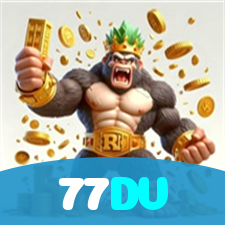 77DV visual