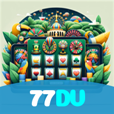 77DV visual