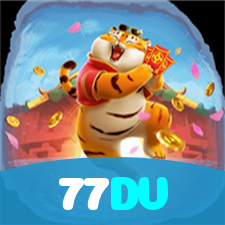 77DV visual
