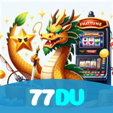 77DV visual