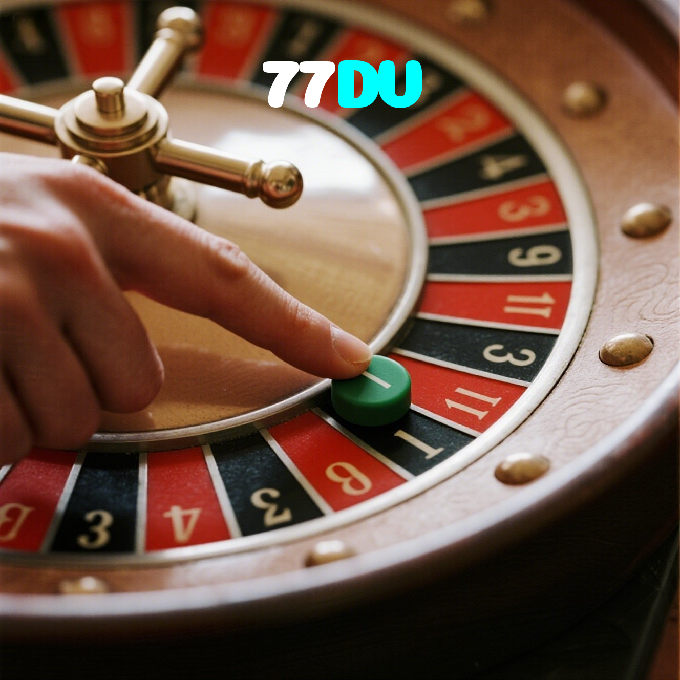 77DV visual
