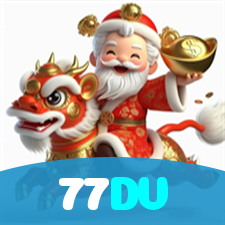 77DV visual