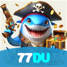 77DV visual