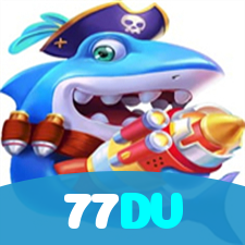 77DV visual